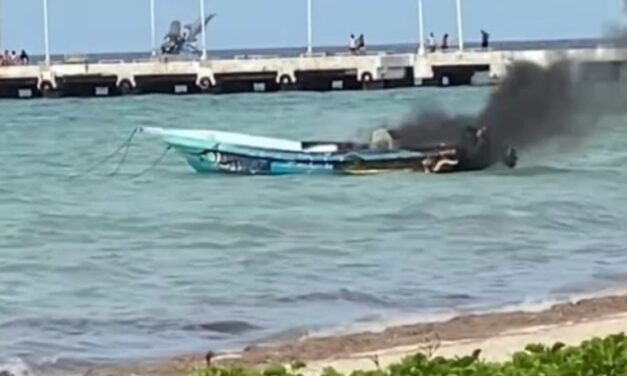 Apura a Conapesca captura ilegal de especies marinas en Yucatán