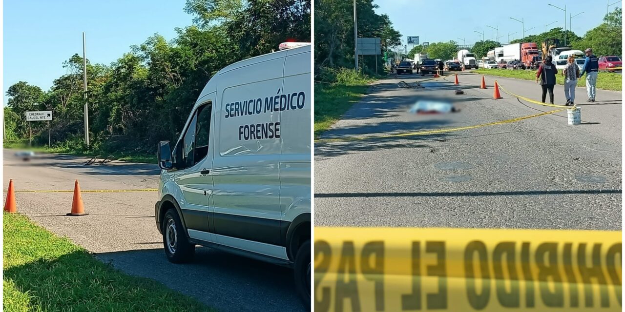 Ciclista atropellado por auto, pereció frente a Congreso Yucatán
