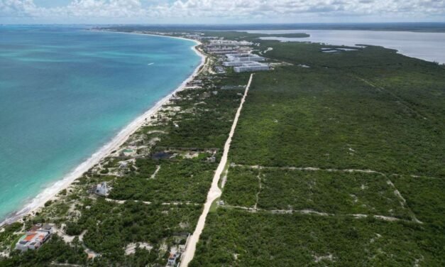 La ‘nueva zona rosa’ del caribe mexicano tendría esta extensión