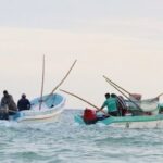 Conceden otro mes extra para captura de pulpo en Yucatán y Campeche