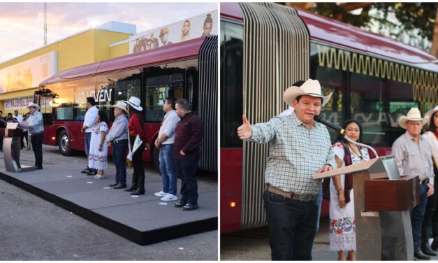 Azul y guinda, coexistencia de colores en autobuses del «Va y Ven»