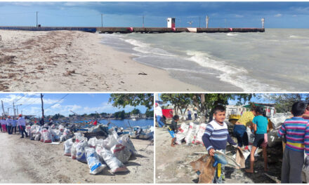 Supera Celestún daños del huracán Milton; reabiertos servicios a turistas