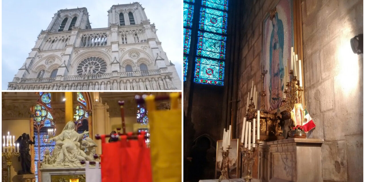 La Guadalupana en París: Ilumina en Catedral de Notre Dame