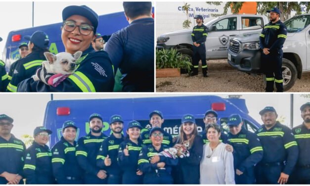 Equipo multidisciplinario en Mérida vigilará y procurará mejor trato a animales