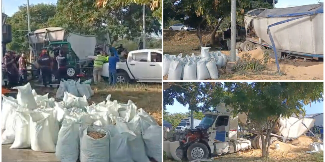 ‘Regadero’ de maíz en periférico Mérida por siniestro de carguero
