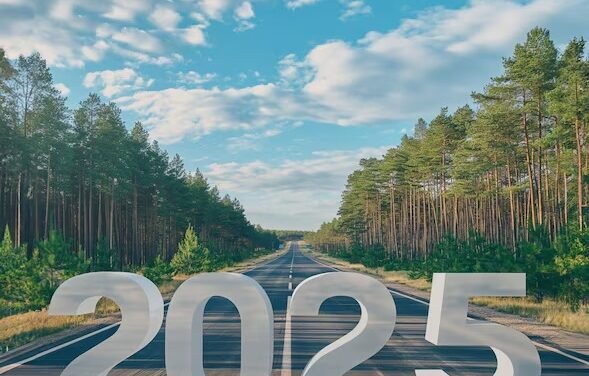 Confianza y optimismo: 2025, mejor en economía y seguridad, según encuestas