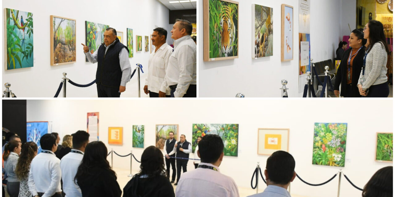 ‘Destellos’ del artista David Mex, en galería del Aeropuerto Mérida