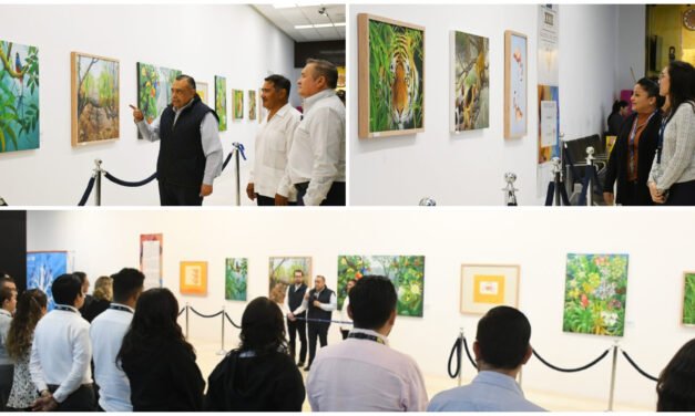 ‘Destellos’ del artista David Mex, en galería del Aeropuerto Mérida