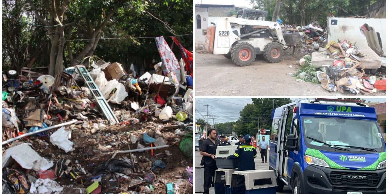Retiran 32 toneladas de basura en predio de la colonia Mayapán