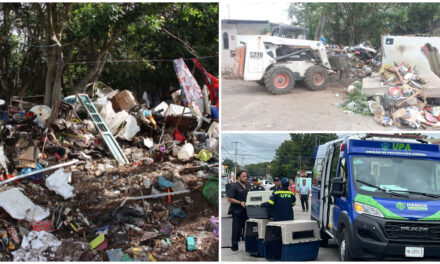 Retiran 32 toneladas de basura en predio de la colonia Mayapán