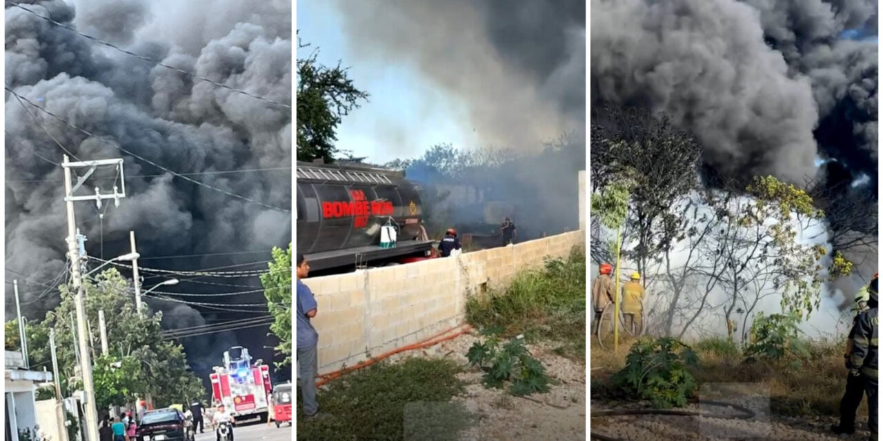 Incendio en colonia Roble Agrícola: ¿Accidental o provocado?