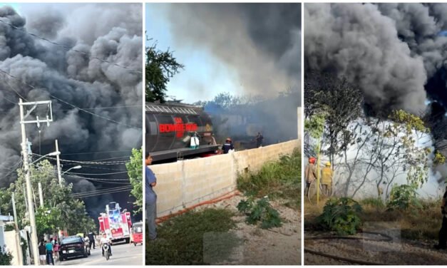 Incendio en colonia Roble Agrícola: ¿Accidental o provocado?