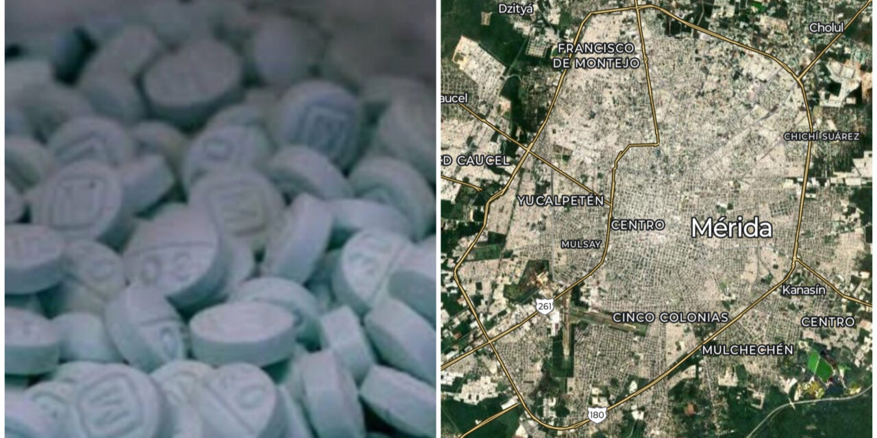Interceptan 10 mil 800 dosis de fentanilo en Mérida