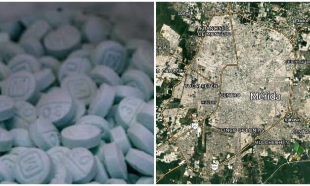 Interceptan 10 mil 800 dosis de fentanilo en Mérida