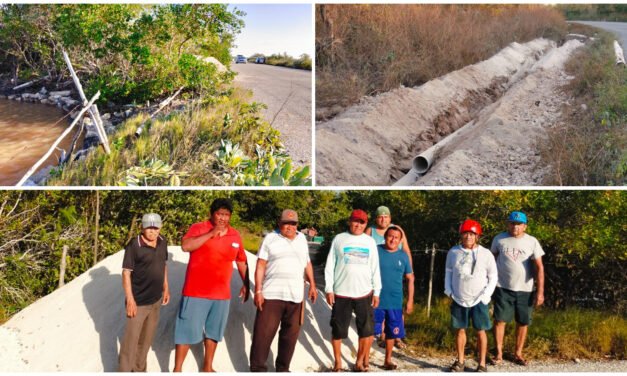 Defienden manglares ante obra irregular del alcalde de Dzemul