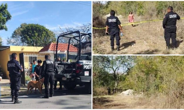 ¿Negligencia o descuido? perros atacan a mujer de tercera edad