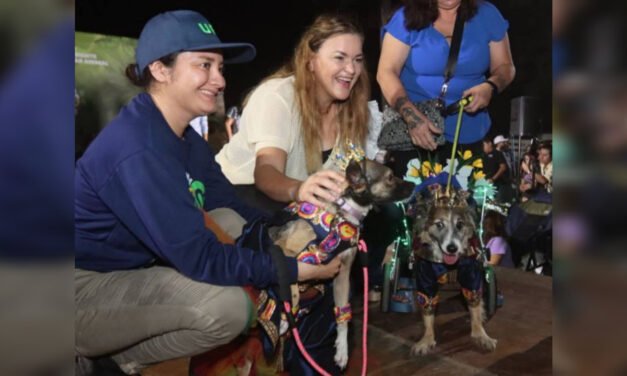 ‘Leyenda’ y ‘Tomate’, primeros «reyes perrunos» de Carnaval de Mérida
