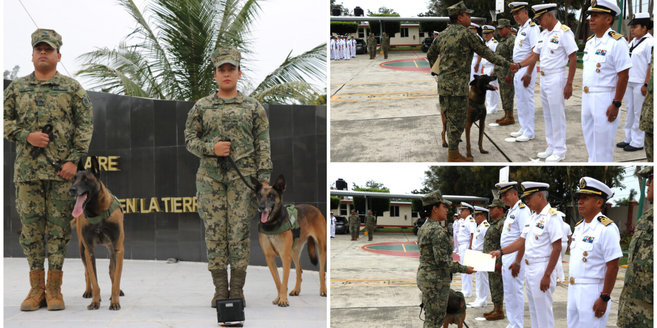 Caninos “Eilyn” y “Foster”, jubilados en emotiva ceremonia naval