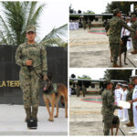 Caninos “Eilyn” y “Foster”, jubilados en emotiva ceremonia naval