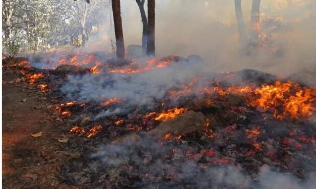 En época de más calor, llegan las quemas agrícolas 2025 en Yucatán