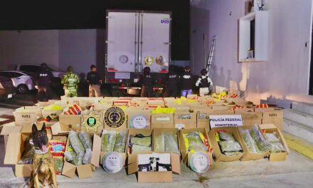 Cargamento de cannabis, detenido en Mérida, tenía destino a Quintana Roo