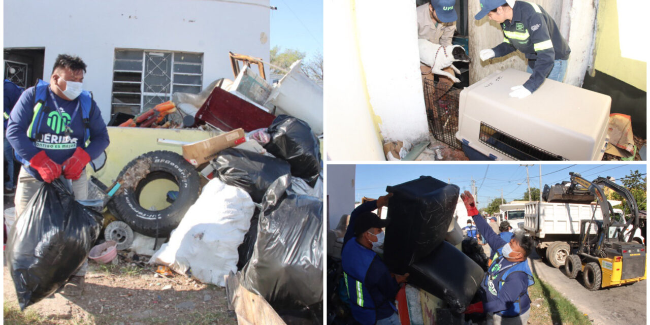 Limpian domicilio en centro Mérida: retiran ocho toneladas de desechos