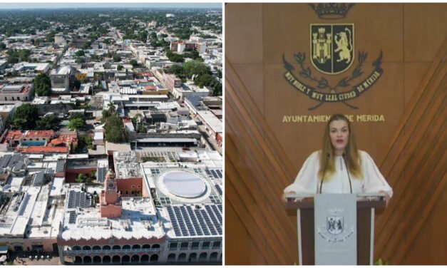 Reglas claras de respeto a la ciudad y quienes vivimos en ella.- Cecilia