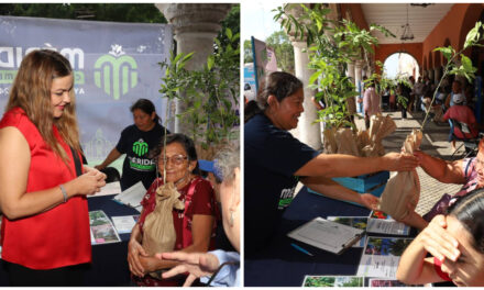 ‘Vienen los calores más fuertes’, dice Cecilia y promueve Mérida Verde