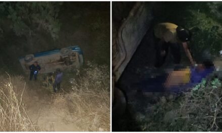 Milagro en Hidalgo: cae auto a barranco y sobreviven siete