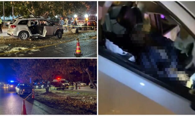 Jovencita pereció en choque contra árbol en periférico de Mérida