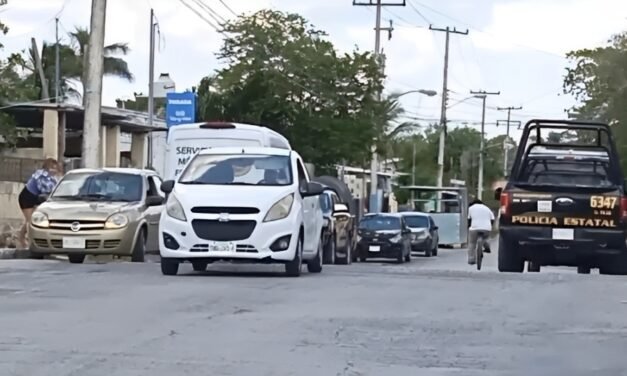 Abuelo sube a bajar frutos de un árbol, cae y perece