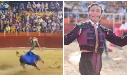 Sobrevive torero yucateco a dramática embestida de astado en Campeche