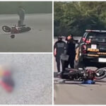 Atropellado por tráiler en Valladolid, pierde extremidad inferior