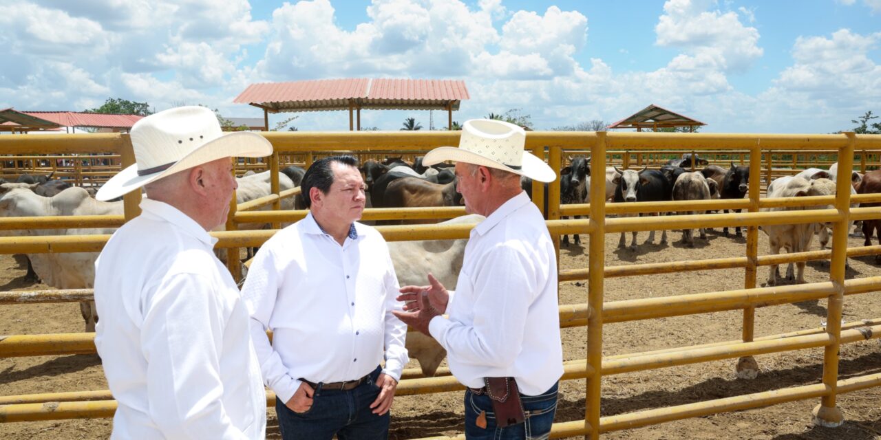 Mecanización, riego e inseminación artificial, para agricultores y ganaderos