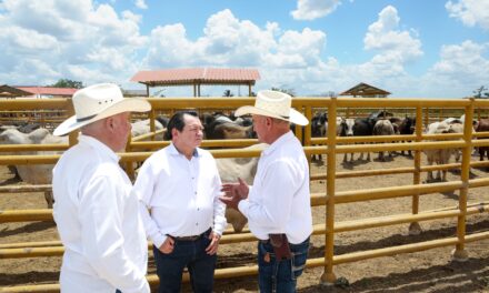 Mecanización, riego e inseminación artificial, para agricultores y ganaderos