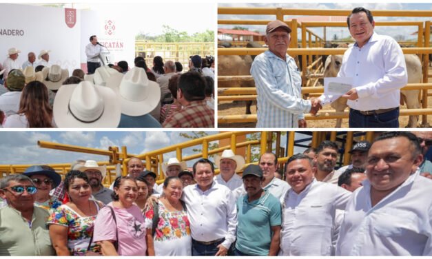 Nuevo plan de ‘rescate’ de la ganadería; apoyan con animales e inseminación