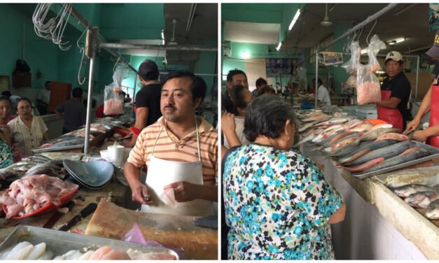 ‘Gato por liebre’ en 44 por ciento de productos pesqueros y mariscos