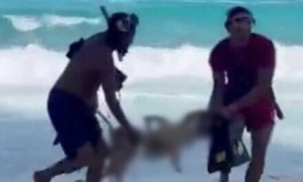 Salvada su amiga: el acto heroico que costó la vida a joven en Cancún