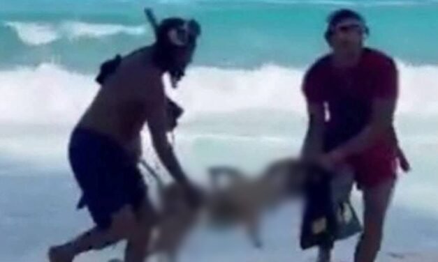 Salvada su amiga: el acto heroico que costó la vida a joven en Cancún