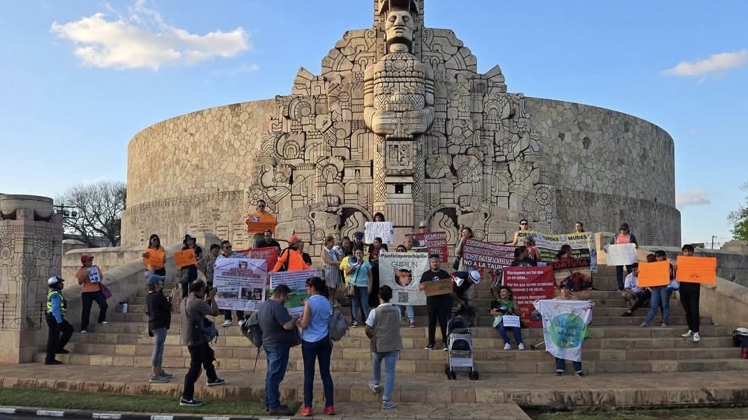 Animalistas contra violencia y descuido que dañan a la fauna