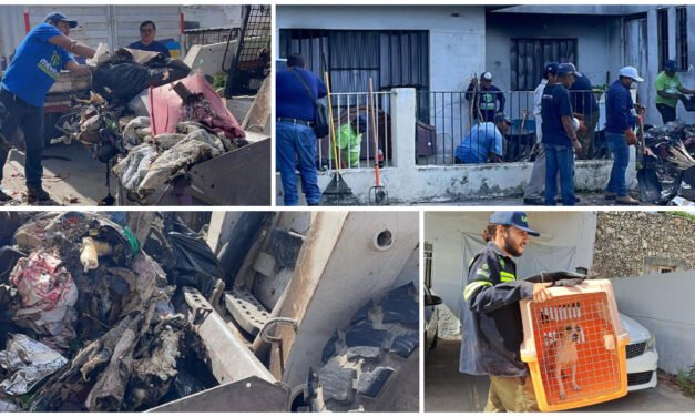 Retiran ocho toneladas de residuos en predio de la Jesús Carranza
