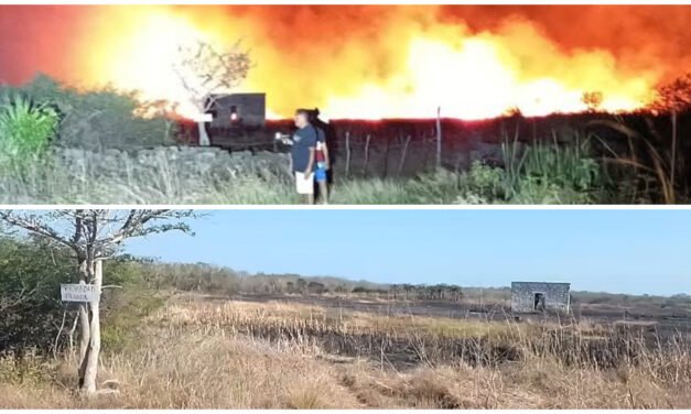 Incendio en Celestún, a 18 kilómetros del puerto: lo declaran «controlado»