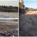 Retoman devastación de duna costera en Sisal