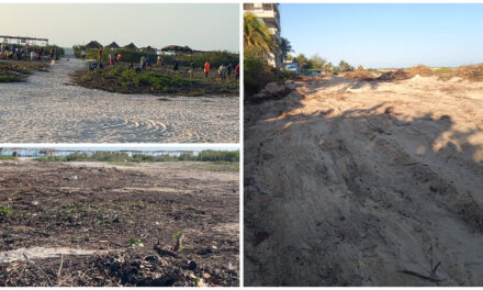 Retoman devastación de duna costera en Sisal