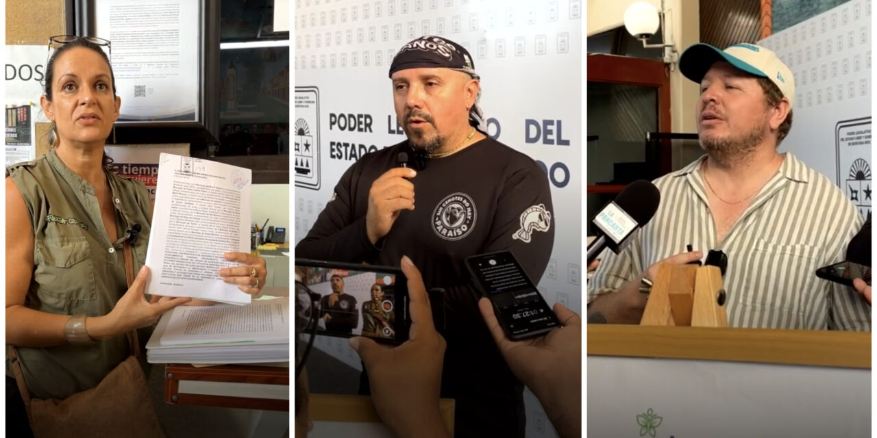 Inédita acción civil en Quintana Roo a favor de recursos naturales y la vida
