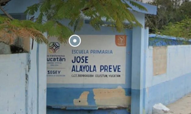 En recuperación escolares intoxicados en escuela de Celestún