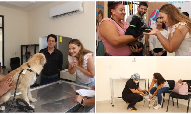 Animales rescatados en Mérida, innovación de trabajo social