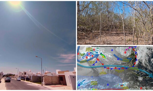 Arderá la semana: sensación térmica de 45.0 a 47 grados desde hoy