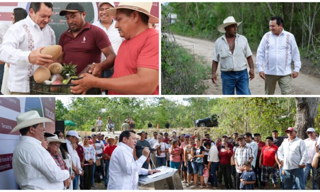 Abren caminos sacacosechas en sur de Yucatán
