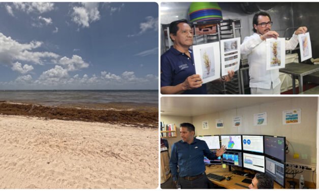 Oleada de sargazo en caribe mexicano presiona temporada de verano